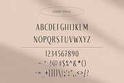Felicia - Sleek Beauty Typeface, a Serif Font by HipFonts (Thumbnail 5 of 10)