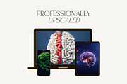 Artistic Human Brain Graphics, an Object Graphic by HipFonts (Thumbnail 9 of 10)