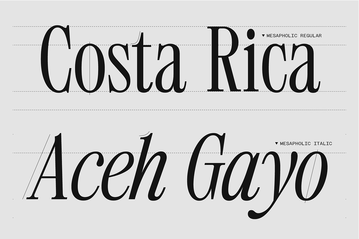 403 Mesapholic Modern Serif, a Serif Font by 403 Type Foundry (Photo 10 of 16)