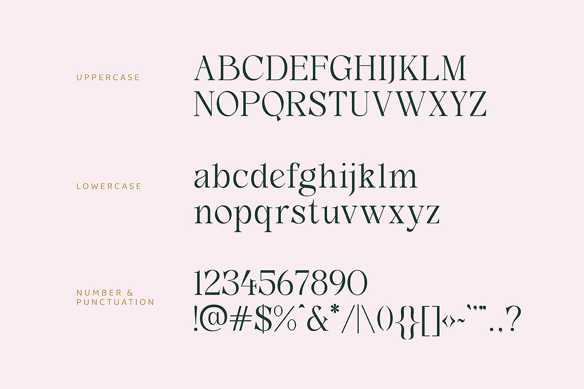 Hillant - Elegant Condensed Serif, a Serif Font by Dikas Studio (Photo 4 of 9)