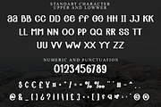 Real Taste, a Script Font by InermediaSTUDIO (Thumbnail 4 of 8)