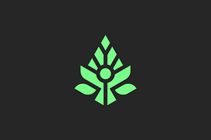 F Or FF Natural Agriculture Logo