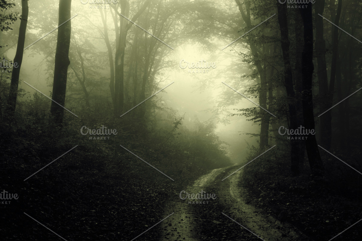 Haunted Halloween Forest Pack 2, a Nature Photo by Atmospheric visuals (Photo 2 of 6)