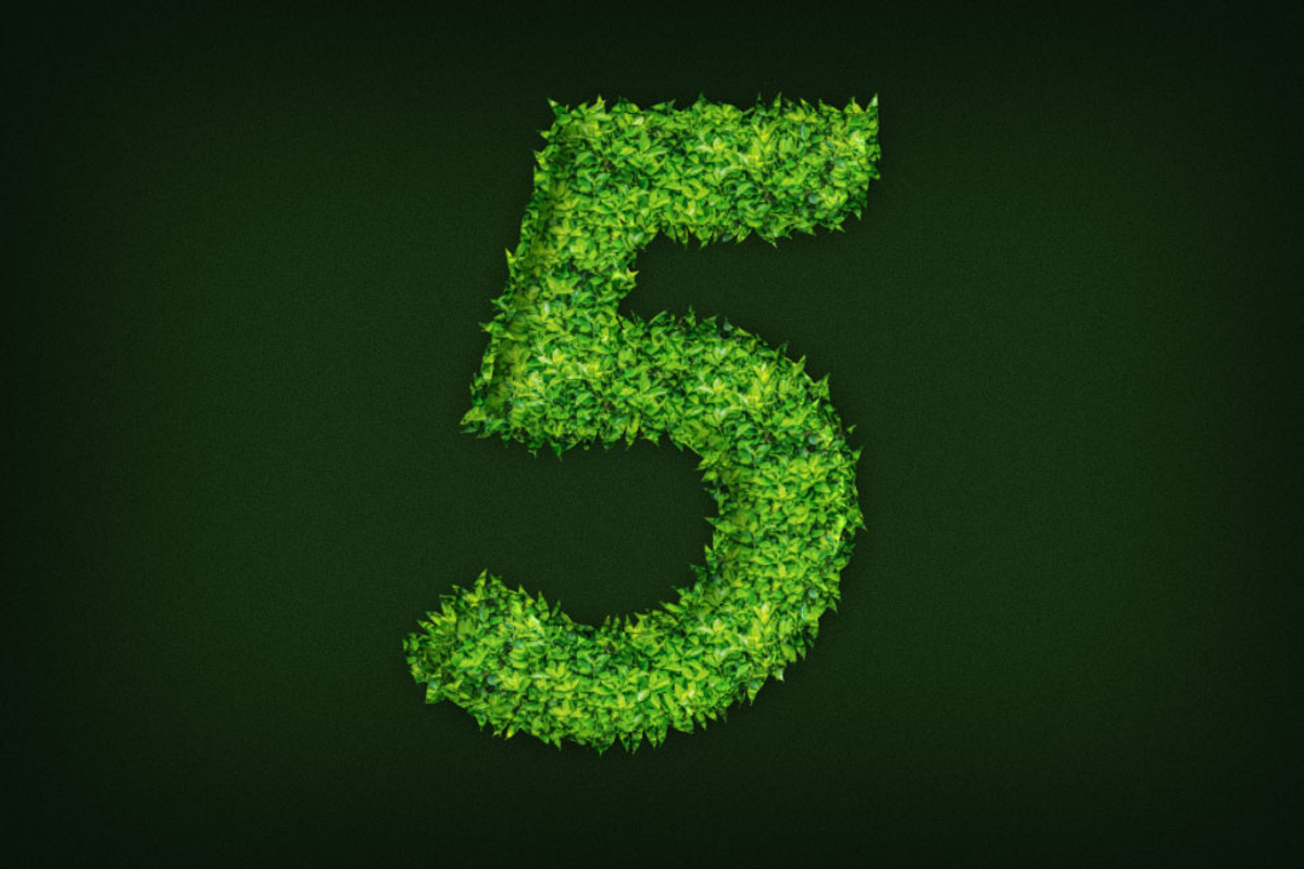Leaf Text Effect Photoshop Action, an Action Add-On by DESIGNAVO (Photo 3 of 7)