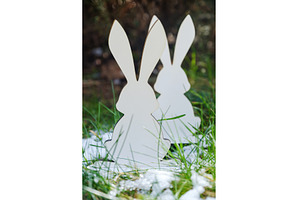 Easter Bunnies in Spring Grass. Two, a Holiday Photo by Rohan Photography