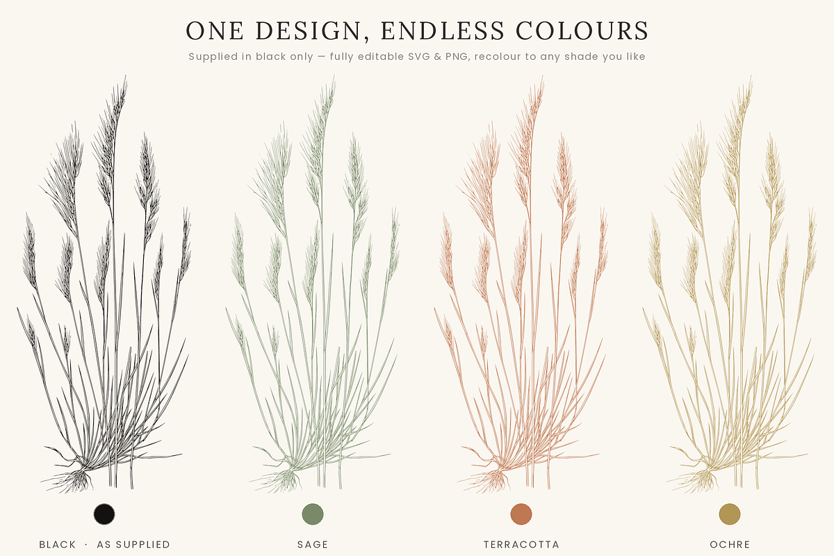 Fern & Grass Line Art Collection, a Decorative Illustration by AW Studios (Photo 2 of 11)
