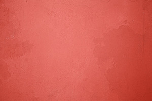 Live coral wall background.