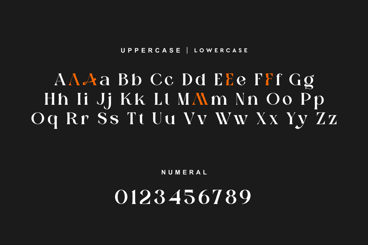 Chytair - Luxury Coffee Font, a Serif Font by QR Design Studio (Photo 8 of 14)