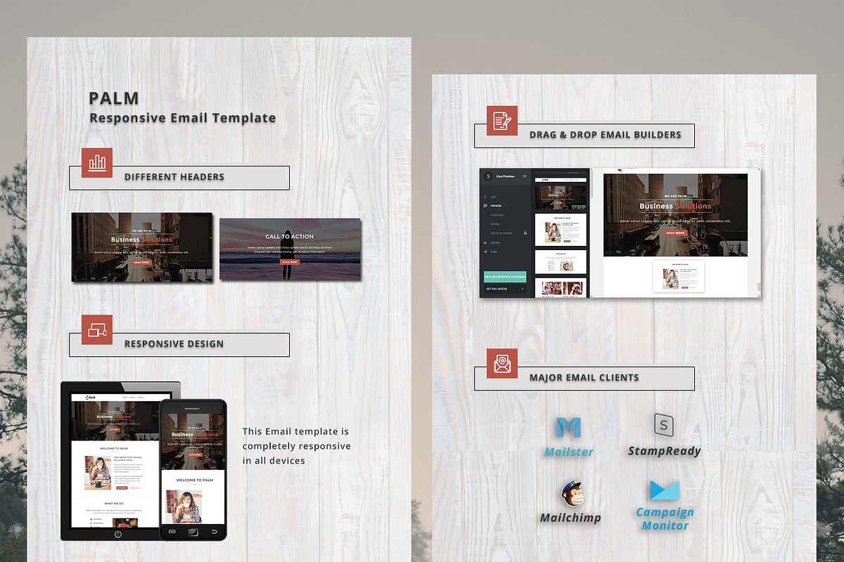 PALM - Responsive Email Template, an Email Template by FourDinos (Photo 3 of 3)
