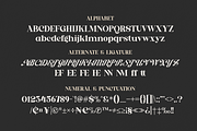 Raluweh - Modern Serif Display, a Serif Font by MaikoHatta (Thumbnail 6 of 8)