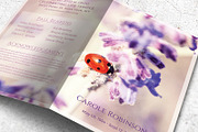 Ladybug Funeral Program Template, a Brochure Template by Final Tribute (Thumbnail 1 of 5)