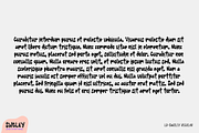 SWOLEY. 3D Font .OTF SVG, a Symbol Font by Luxfont (Thumbnail 9 of 10)