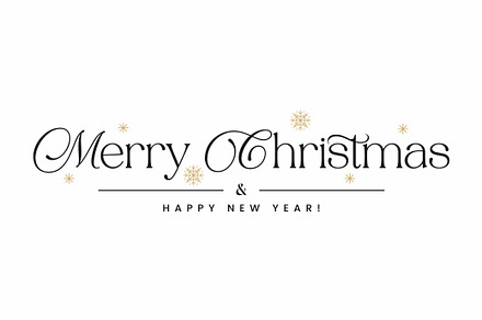 Merry Christmas  New Year Banner