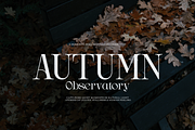 Drogel | Display Serif Font, a Serif Font by gracetype_studio (Thumbnail 7 of 12)