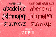 Home Sweet Home, a Serif Font by BBtypeStudios (Thumbnail 8 of 8)