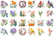 Birth Flowers & Birth Birds Set, an Illustration by Sublimation Artist (Thumbnail 2 of 6)