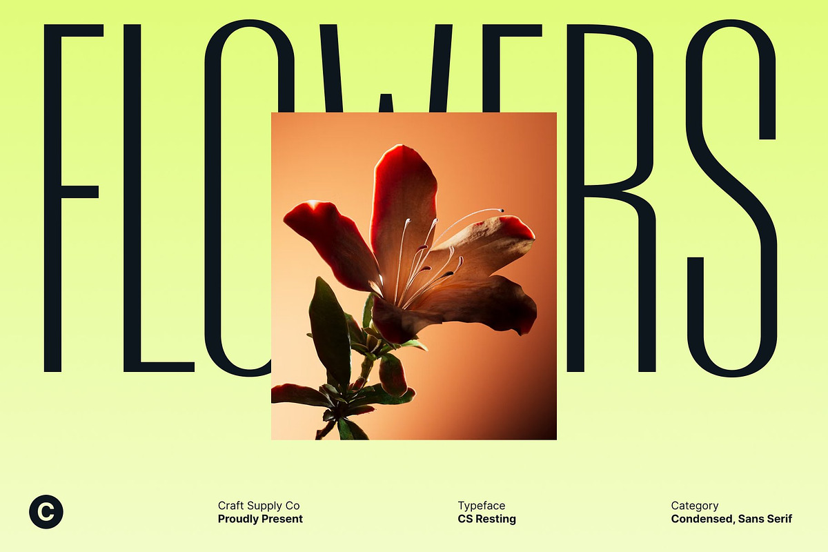 CS Resting – Modern Condensed Font, a Sans Serif Font by Craft Supply Co. (Photo 7 of 8)