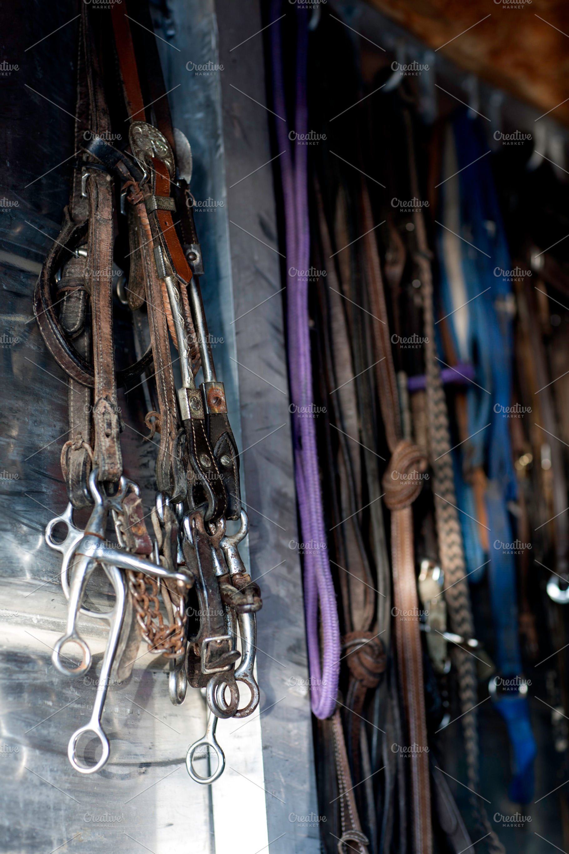 Horse Tack, an Animal Photo by The Bumble Box