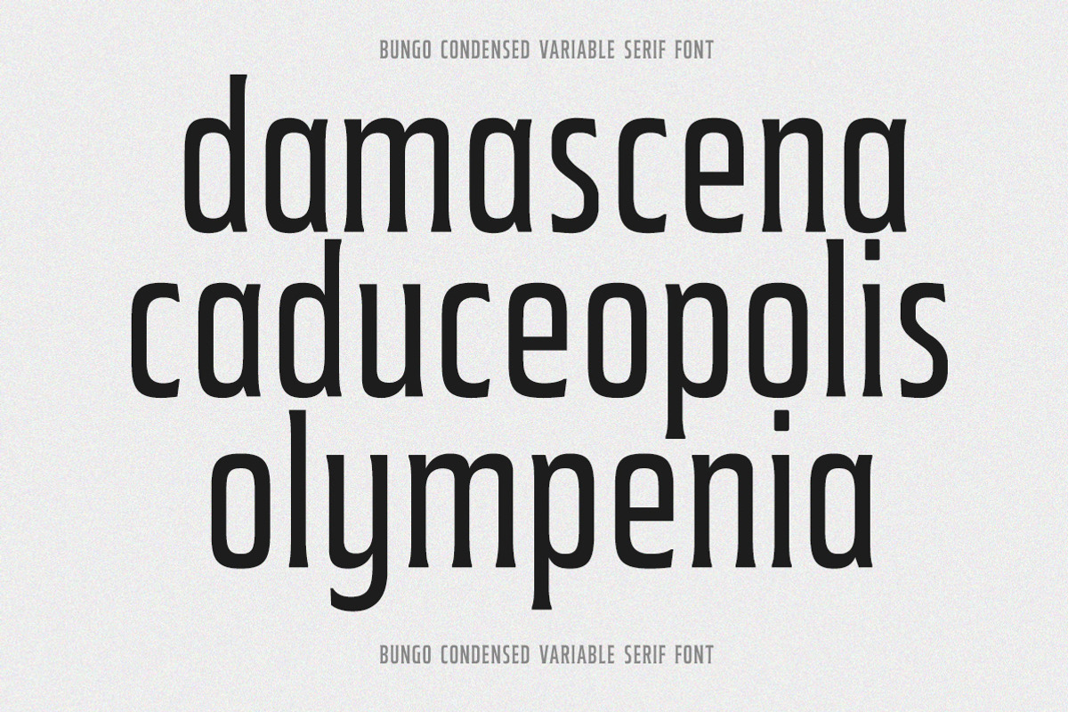 Bungo - Variable Condensed Font, a Font by Typeskets (Photo 2 of 11)