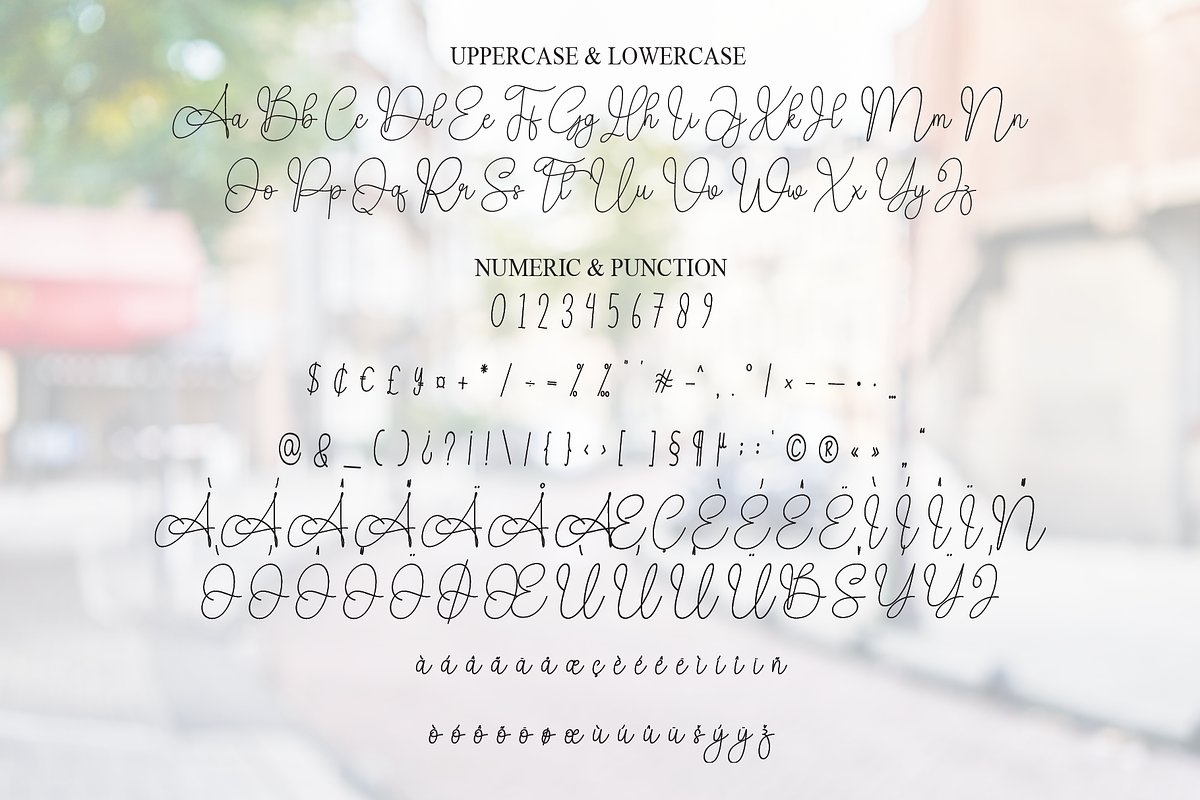 Amsterdam | Script Font, a Handwritten Font by Scratchones (Photo 7 of 9)