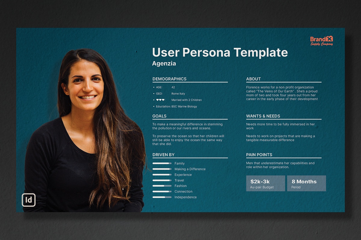 Agenzia I User Persona Template +, a Branding & Logo Template by Brand_x Supply Co. (Photo 3 of 22)
