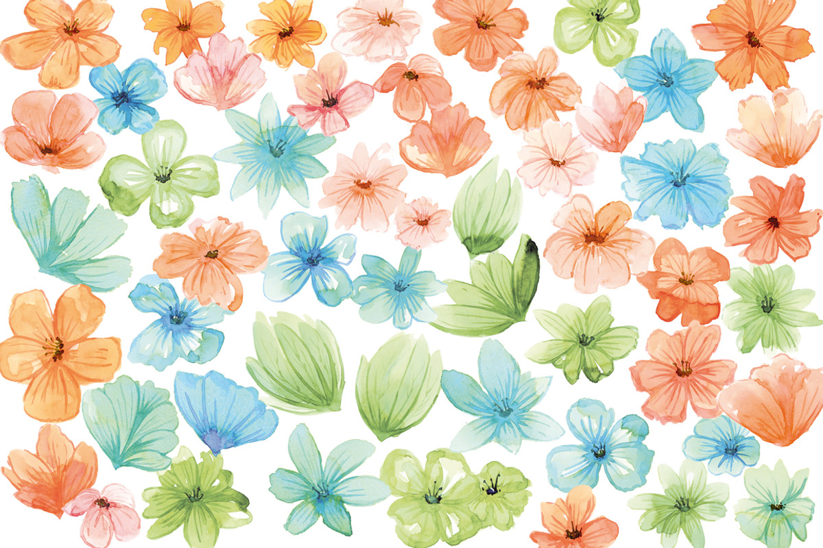 Watercolor Flowers, Floral, an Illustration by swiejko (Photo 2 of 2)