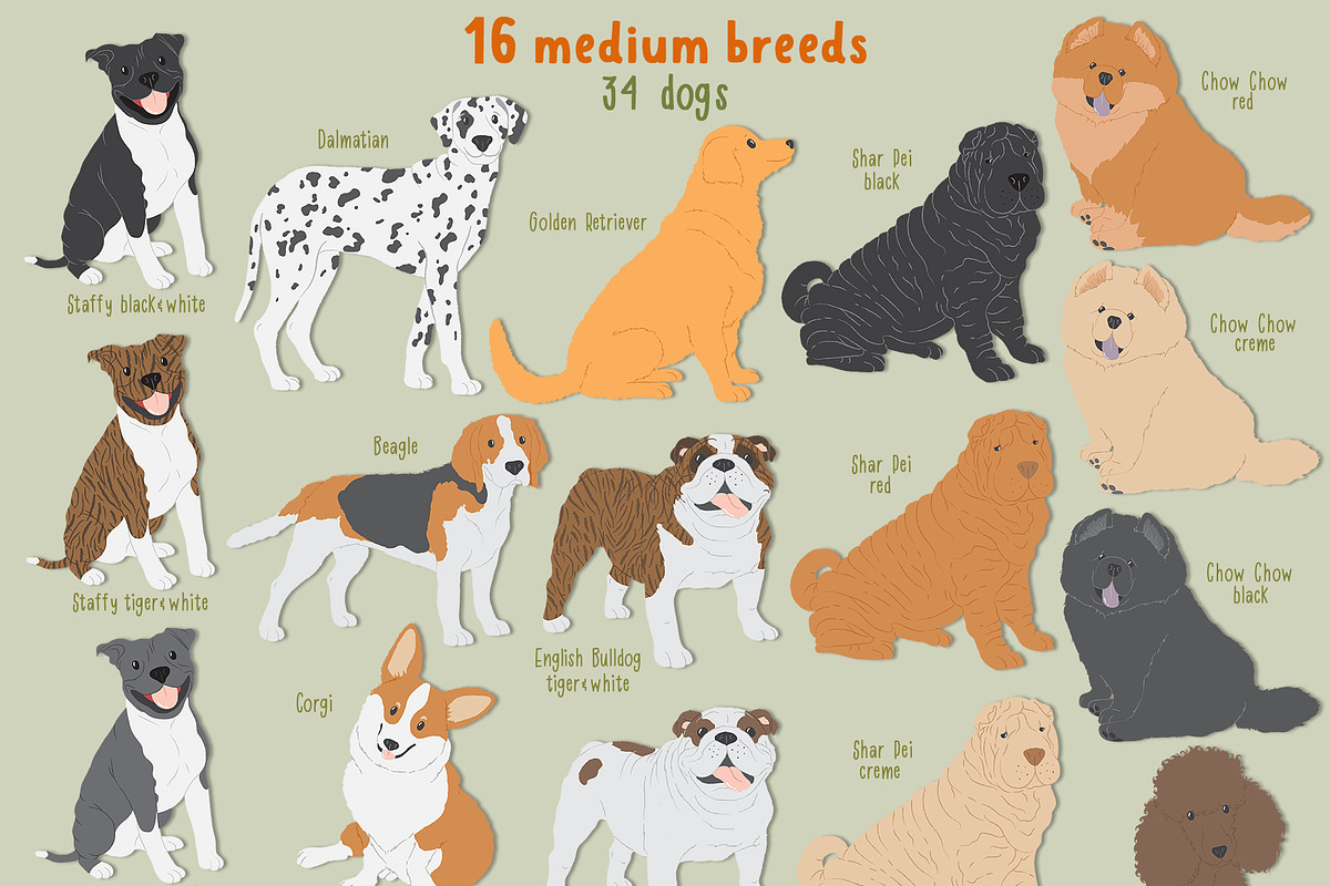 Dog breeds vector clipart, an Object Graphic by Trinibis (Photo 3 of 11)