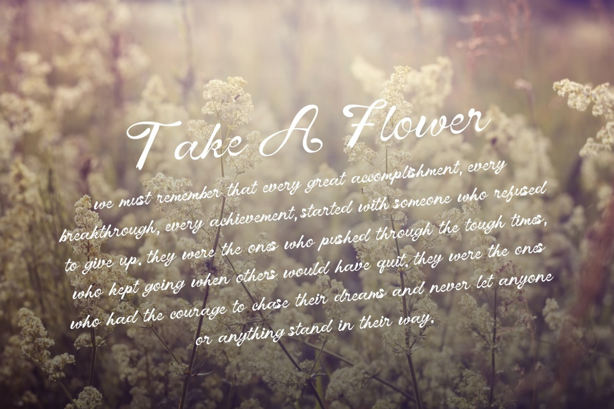Vinecta - Retro Script Font, a Script Font by Dhabee (Photo 11 of 16)