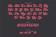 ARCTIC DELIGHT, a Script Font by Havinkpen (Thumbnail 8 of 8)