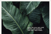Abstract Blurry Botanical Bundle, a Background Graphic by Lana Elanor (Thumbnail 14 of 20)