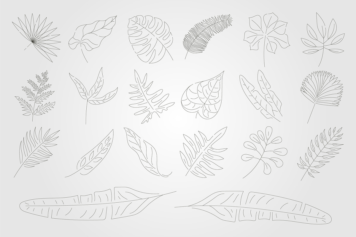 Monstera palm icons, a Decorative Illustration by lawoel