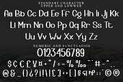 Simple Developer, a Script Font by FreshTypeINK (Thumbnail 5 of 8)