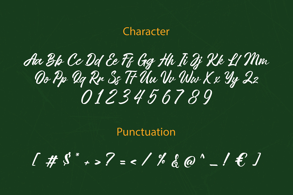 Ridelans - Modern Script, a Script Font by Lettermine (Photo 9 of 10)