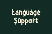 Fjorden Font Duo Sans Serif Font, a Sans Serif Font by Heinzel Std (Thumbnail 7 of 15)