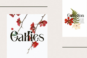 Gallies Ligature Serif Typeface