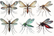 Watercolor Mosquitoes Clipart, an Illustration by OK Design (Thumbnail 4 of 5)