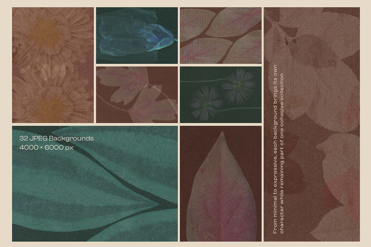 Umbra Tactura - Botanical Textures, a Background Graphic by DigARTbyHavroshka (Photo 9 of 11)