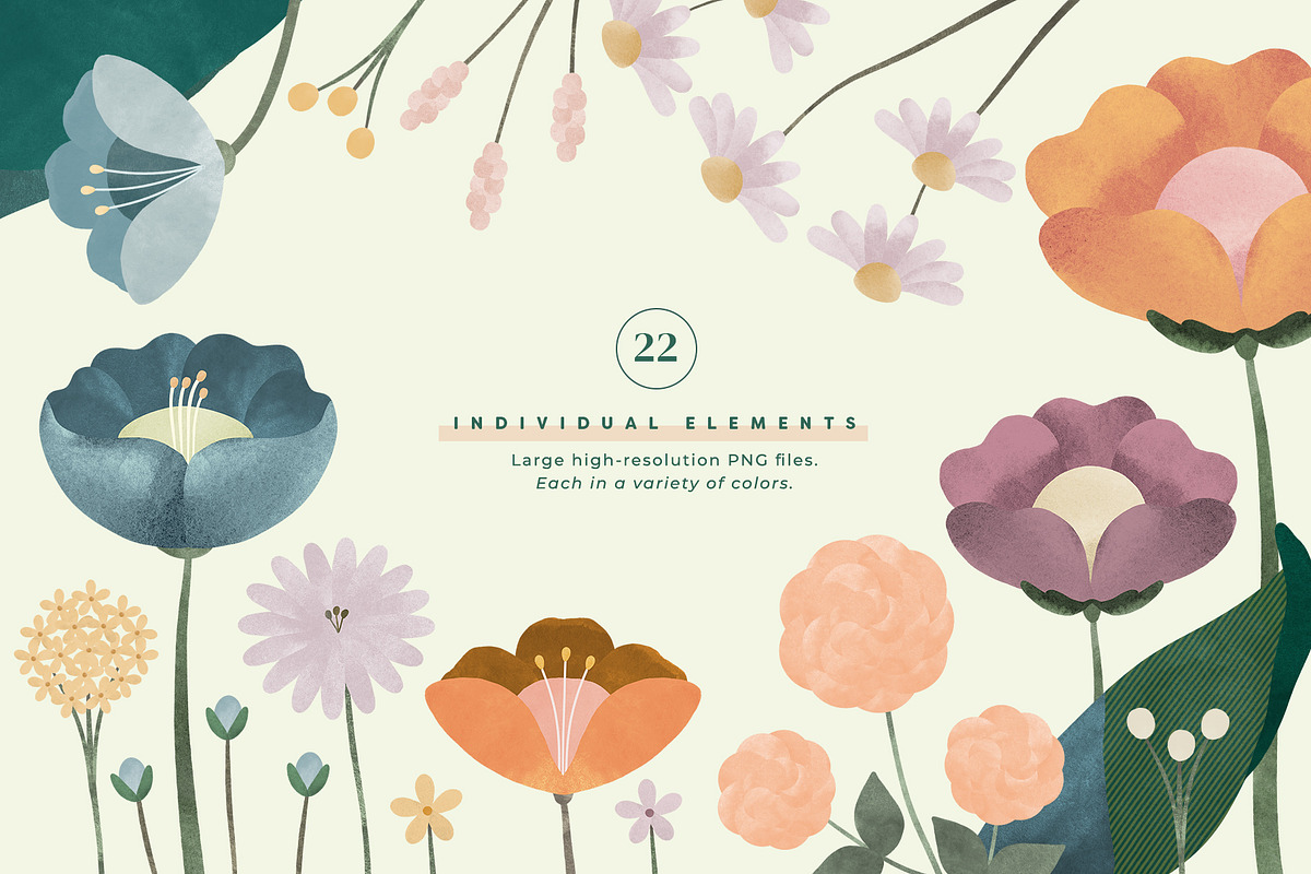 Painted Flowers and Compositions, an Object Graphic by Basia Stryjecka (Photo 17 of 19)