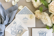 Victorian collection - Toile De Jouy, a Decorative Illustration by Pamyatka Shop (Thumbnail 4 of 15)