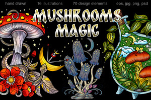 Magic Mushrooms