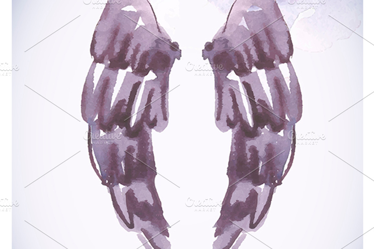 Watercolor background with wings, an Animal Illustration by Depiano (Photo 3 of 5)