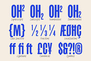 TNSC Barcon - Condensed Sans, a Sans Serif Font by The Native Saint Club (Thumbnail 16 of 16)