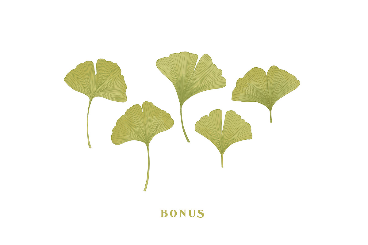 De Ginkgo, a Serif Font by Emyself Design (Photo 15 of 16)