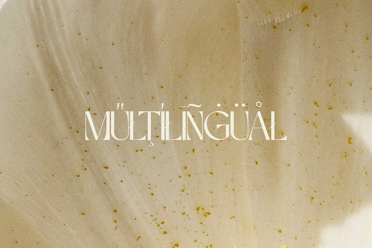 Perennial - Elegant & Ligature Sans, a Sans Serif Font by Mikhail Kitsune (Photo 9 of 9)