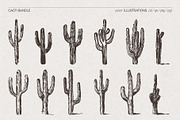 Sketch Cacti Vector Bundle, a Seasonal Illustration by TheMountBirdStudio (Thumbnail 8 of 14)