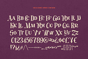 Jumping Rabbit - Funny Font, a Slab Serif Font by Gleb Guralnyk (Thumbnail 7 of 8)