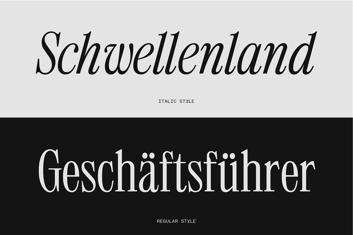 403 Mesapholic Modern Serif, a Serif Font by 403 Type Foundry (Photo 8 of 16)