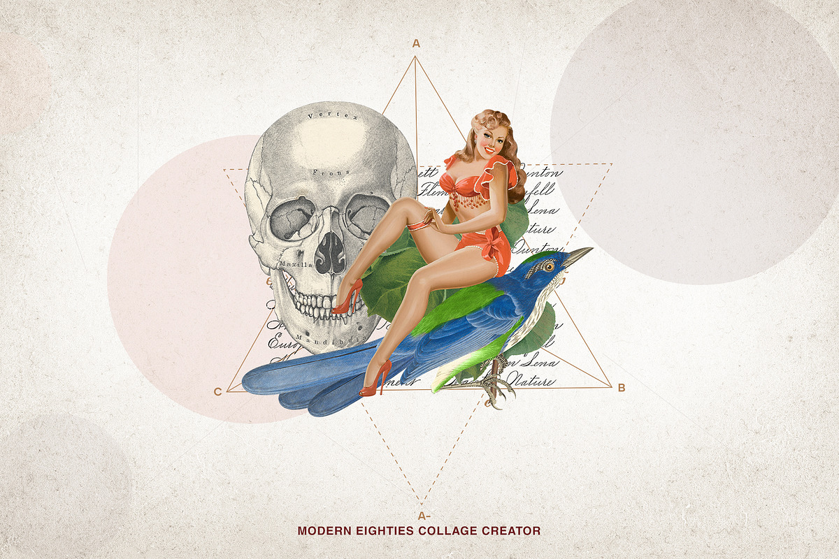 5 in 1 Collage Master Collection, an Object Graphic by SNIPESCIENTIST (Photo 17 of 22)