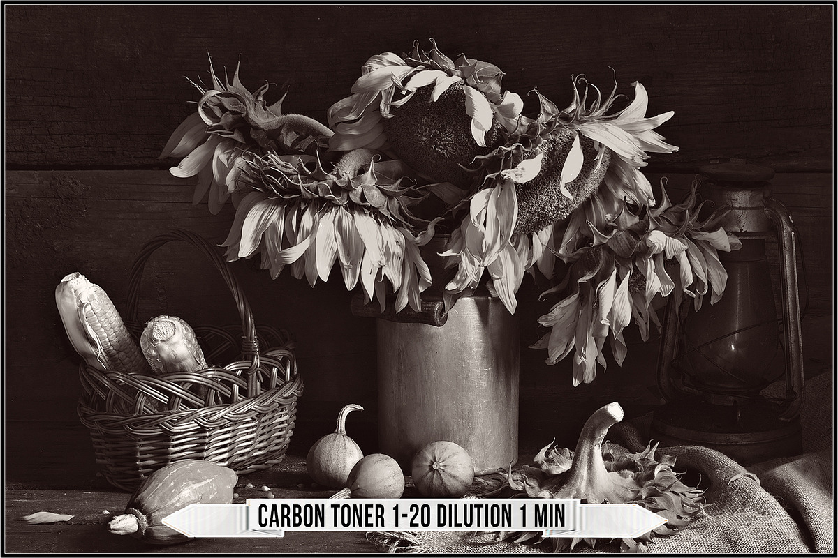 Darkroom Toners - Carbon preview 4