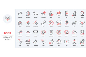 Passenger traveling in modern icons, an Animal Illustration by Lemberg Vector